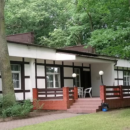Hostel Dworek Osiecki Koral Osieki  Exterior foto